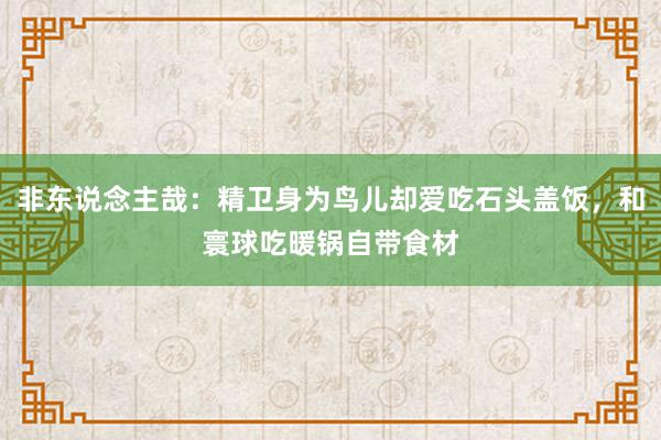 非东说念主哉：精卫身为鸟儿却爱吃石头盖饭，和寰球吃暖锅自带食材