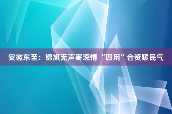 安徽东至：锦旗无声寄深情 “四用”合资暖民气