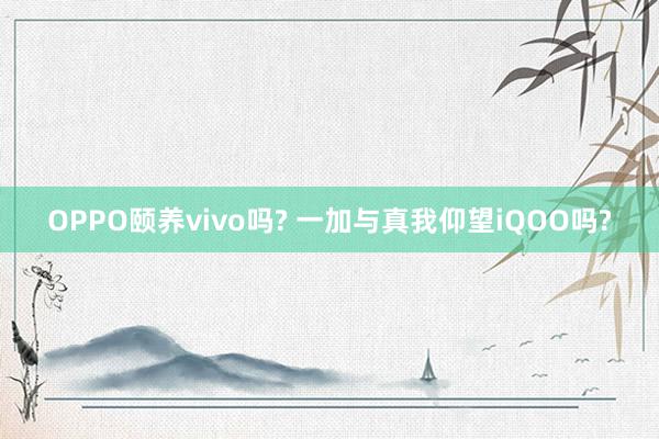 OPPO颐养vivo吗? 一加与真我仰望iQOO吗?