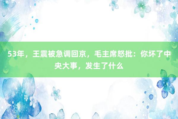 53年，王震被急调回京，毛主席怒批：你坏了中央大事，发生了什么