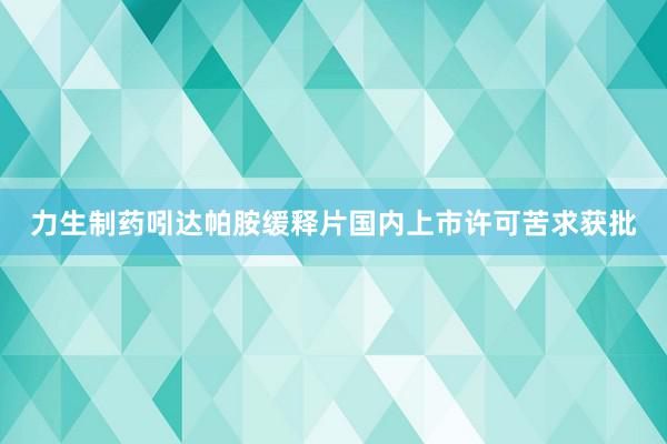 力生制药吲达帕胺缓释片国内上市许可苦求获批