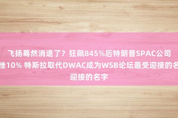 飞扬蓦然消退了？狂飙845%后特朗普SPAC公司下挫10% 特斯拉取代DWAC成为WSB论坛最受迎接的名字