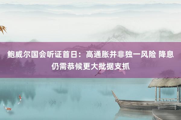 鲍威尔国会听证首日：高通胀并非独一风险 降息仍需恭候更大批据支抓