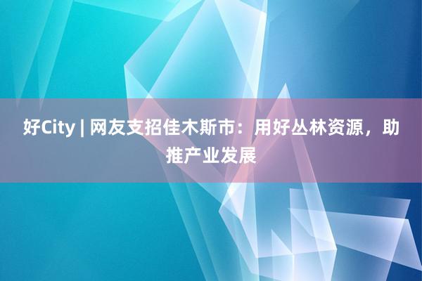 好City | 网友支招佳木斯市：用好丛林资源，助推产业发展