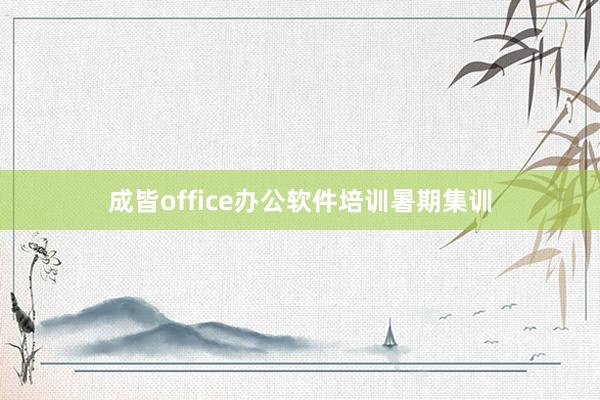 成皆office办公软件培训暑期集训