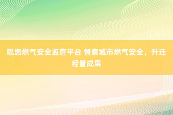 聪惠燃气安全监管平台 督察城市燃气安全，升迁经管成果