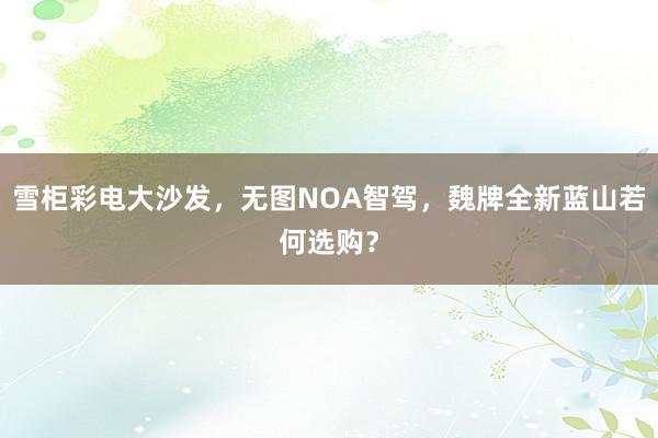 雪柜彩电大沙发，无图NOA智驾，魏牌全新蓝山若何选购？