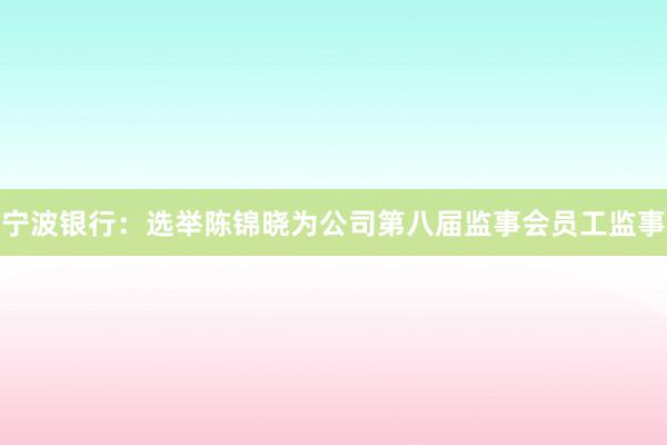 宁波银行：选举陈锦晓为公司第八届监事会员工监事