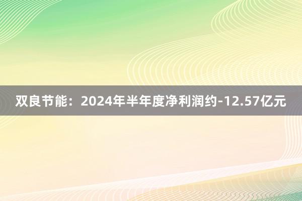 双良节能：2024年半年度净利润约-12.57亿元