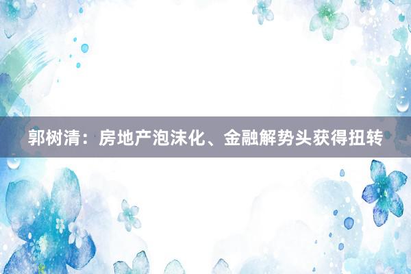 郭树清：房地产泡沫化、金融解势头获得扭转