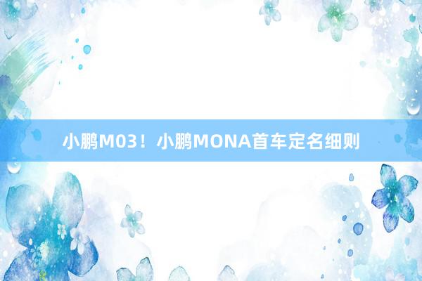 小鹏M03！小鹏MONA首车定名细则