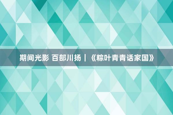 期间光影 百部川扬｜《粽叶青青话家国》