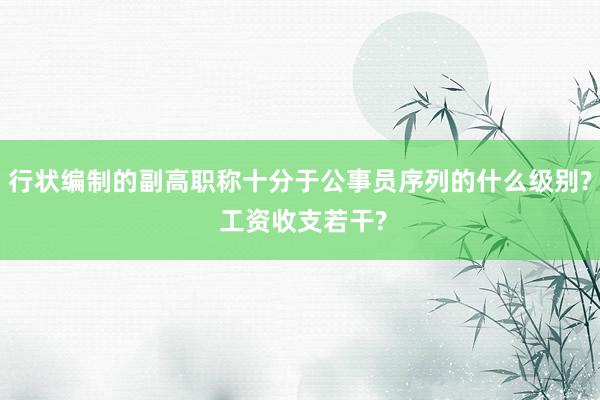 行状编制的副高职称十分于公事员序列的什么级别? 工资收支若干?