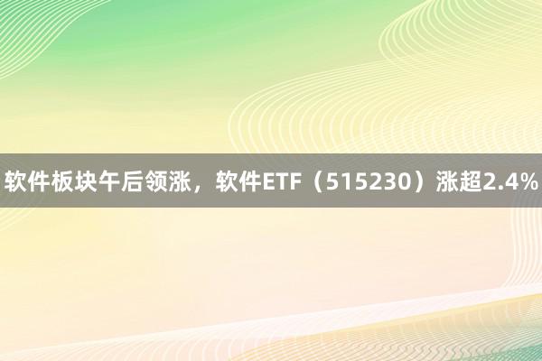 软件板块午后领涨，软件ETF（515230）涨超2.4%