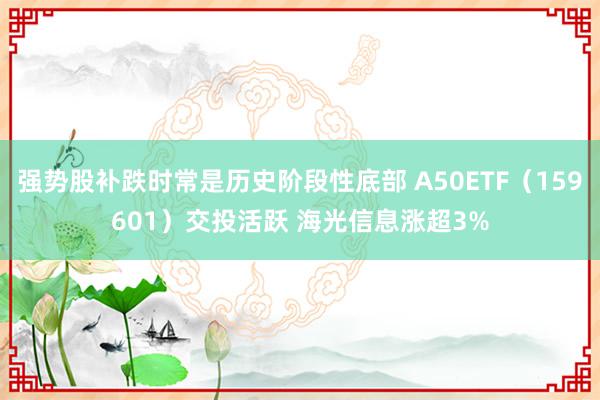 强势股补跌时常是历史阶段性底部 A50ETF（159601）交投活跃 海光信息涨超3%