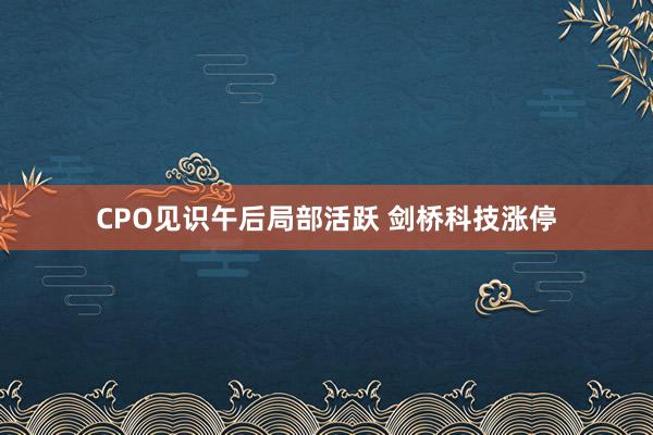 CPO见识午后局部活跃 剑桥科技涨停