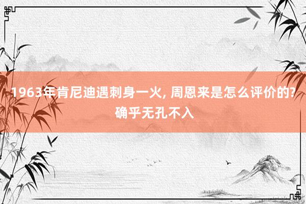 1963年肯尼迪遇刺身一火, 周恩来是怎么评价的? 确乎无孔不入